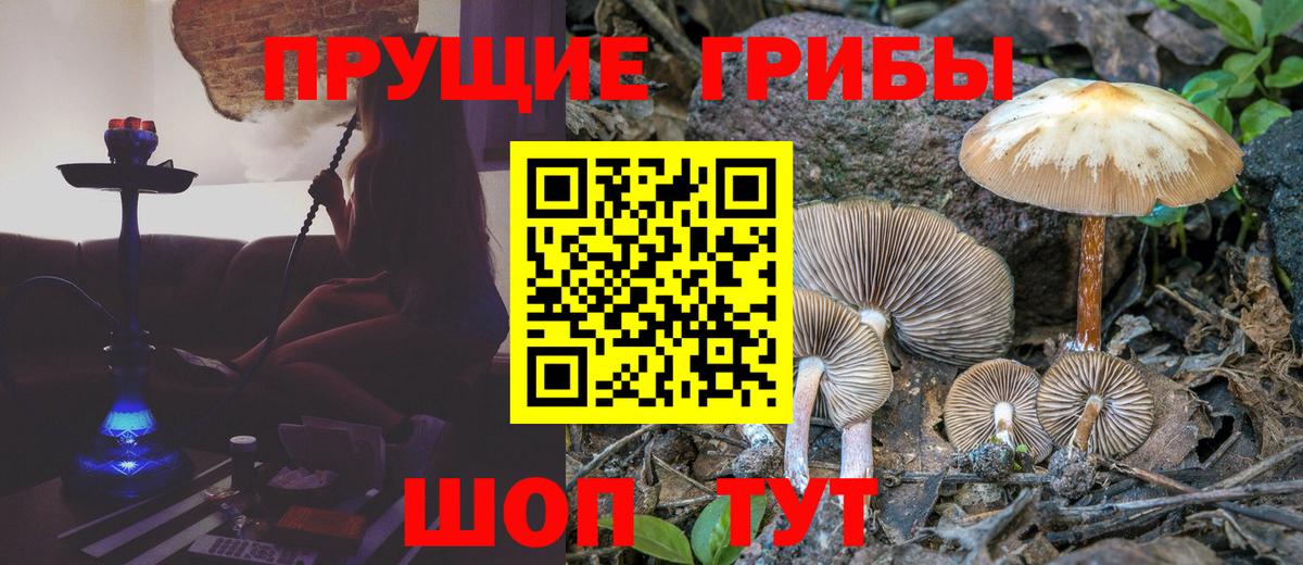 Галлюциногенные грибы прущие грибы  Вход с VPN  Ржев 