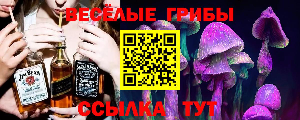 Псилоцибиновые грибы MAGIC MUSHROOMS Ржев